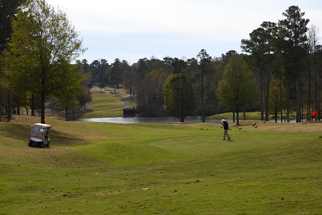 pine tree golf club