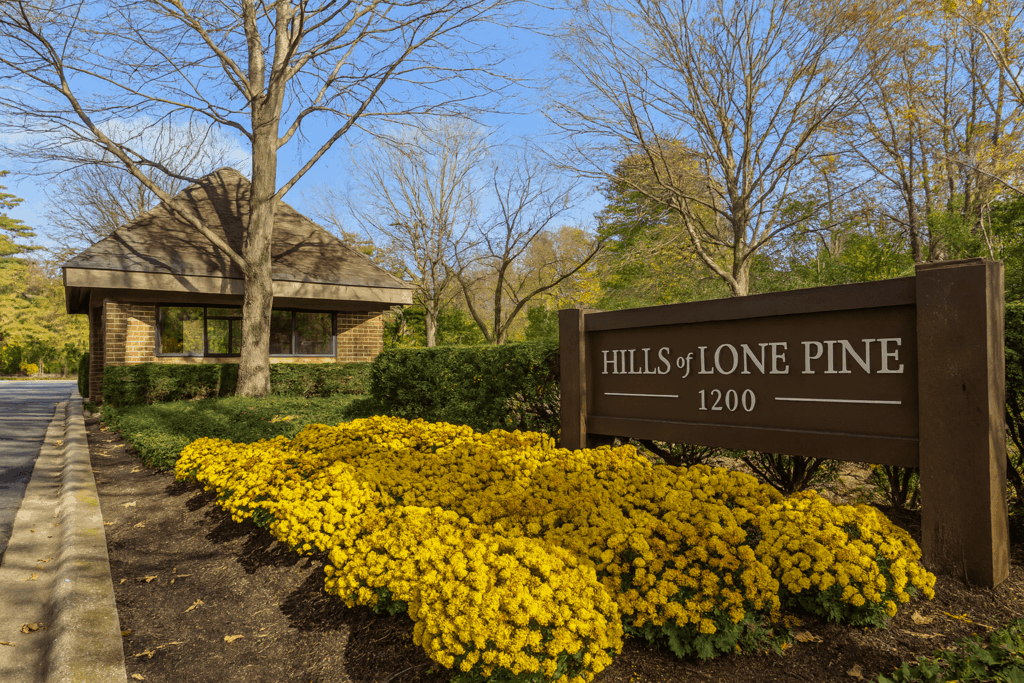 Image of Hills of Lone Pine